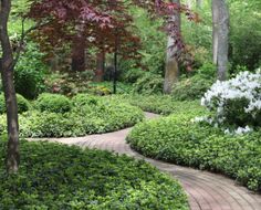 a pathway in the middle of a lush green park