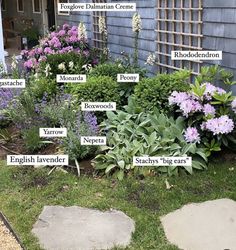 the names of different types of plants in front of a house with flowers around them