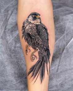 a black and white bird tattoo on the right leg, with an arrow in it's claws