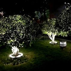 some trees and bushes lit up at night in the grass with lights shining on them