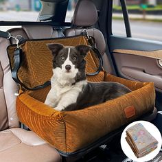 a dog sitting in the back seat of a car