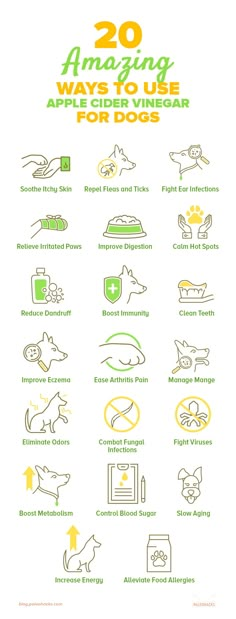 an info sheet with the words 20 amazing ways to use appliance for dogs