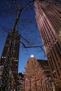 a large christmas tree in the middle of two tall buildings