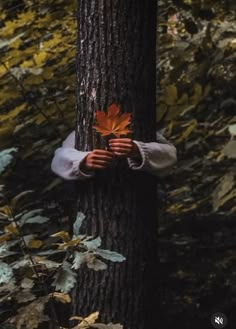 a person hiding behind a tree with a leaf in their hand and holding it up to the camera