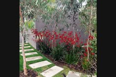 an outdoor garden with stepping stones and red flowers