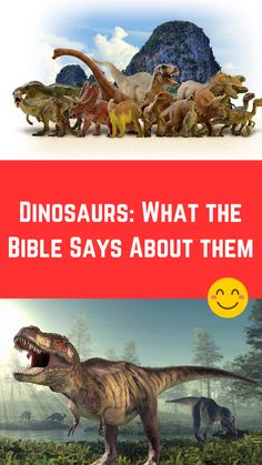 Dinosaurs: What the Bible Says About them (An Ultimate Guide) Bible Evidence, Jewish Beliefs, Dinosaur Lesson, Dinosaur Nursery Decor, Dinosaur Nursery, Early Readers, Bible Motivation, Sunday School Lessons