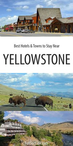 two pictures with the words yellowstone on them and an image of bisons walking down the road