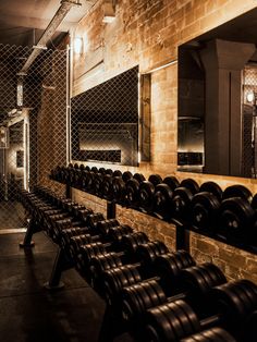 rows of dumbbells are lined up against the wall in an empty gym room