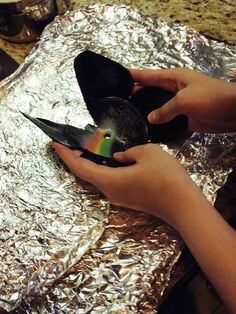 a person holding a small black bird on top of tin foil covered countertop next to a stove