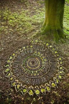 a circular design made out of leaves on the ground next to a tree