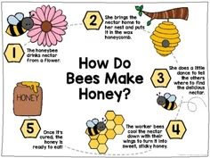 how do bees make honey? poster with beehive, flowers and honeycombs