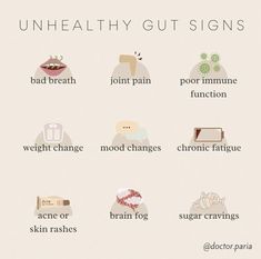 Kidney Problems Signs, Wellness Foods, Gut Dysbiosis, Probiotics And Prebiotics, Gut Health Diet, Intestinal Health, Gut Healing, Gut Microbiome, Stomach Pain