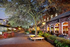 an empty street at night with benches and trees in the foreground, surrounded by brick buildings