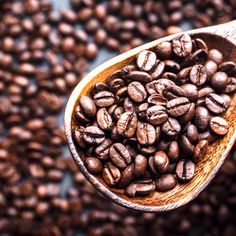 a wooden spoon filled with coffee beans