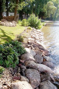 there is a rock wall along the water's edge with plants growing on it