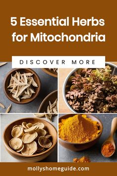 Enhance your mitochondria health with the power of herbs! Discover the best herbs to boost mitochondrial function and improve energy levels naturally. Explore a variety of herbal nootropics that support brain health and enhance mitochondrial efficiency. Incorporate anti-microbial herbs into your routine to promote optimal mitochondria health. From polyphenol-rich foods to specialized herbal blends, these natural remedies are key in combating mitochondrial dysfunction. Nurture your body with the Mitochondria Diet, Apothecary Supplies, Autoimmune Healing, Mitochondrial Dysfunction, Mitochondrial Health, Herbal Academy, Medical Herbs, Improve Energy Levels, Magic Herbs