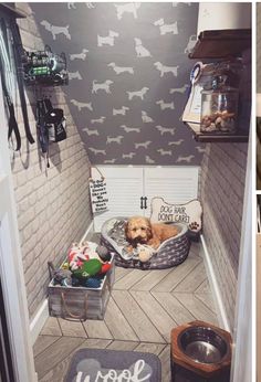 a dog is sitting in his kennel on the floor