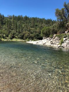 the water is crystal clear and there are trees in the background