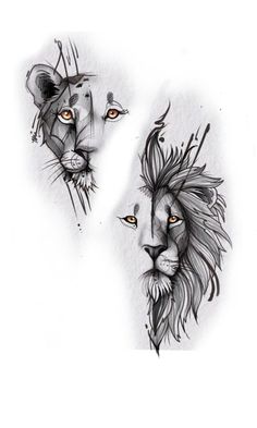 two lions with their faces drawn in black and grey ink on white paper, one is facing