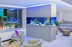 a living room filled with furniture and an aquarium