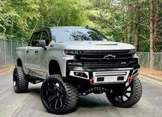 a silver truck is parked on the road in front of some trees and bushes with black rims