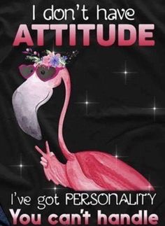 a pink flamingo wearing sunglasses with the words i don't have attitude, i've got personality you can't handle