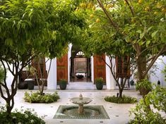 the courtyard is surrounded by trees and plants