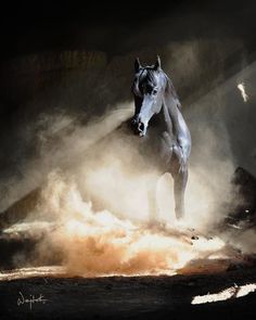 a white horse is galloping through the dust in an open area with dark lighting