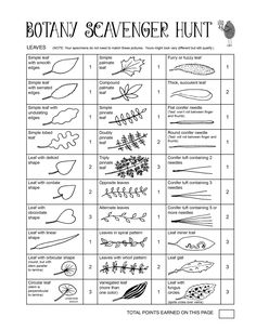 an activity sheet for children to learn how to draw leaves and other things in their hands