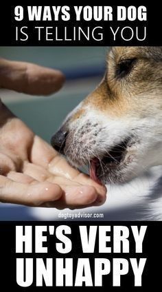 Dog Boredom, Dog Body Language, Dog Training Treats, Dog Training Advice, Dog Language, Dog Training Techniques, Calm Dogs, Best Dog Training