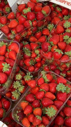 several plastic containers filled with strawberries on display