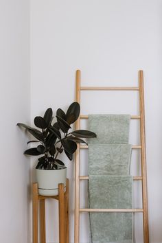 a potted plant sitting on top of a wooden stand next to a towel rack