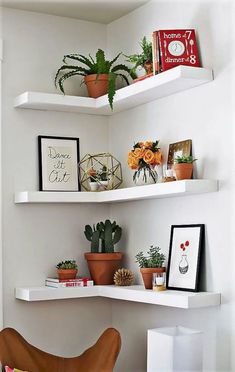 three white shelves with plants and pictures on them