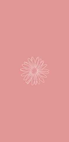 a pink background with a white flower in the center on top of it is an image of a sunflower