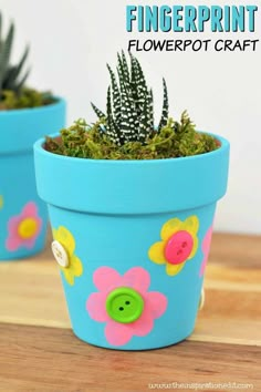 two potted plants with flowers painted on them and the words fingerprint flowerpot craft