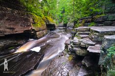 a river running through a lush green forest filled with rocks and trees on the side of a cliff