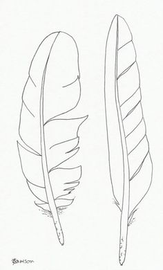 two different types of leaves are shown in this black and white drawing, one has a long tail