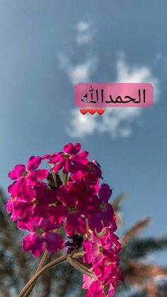 purple flowers in front of blue sky and clouds with the word arabic above it that reads,