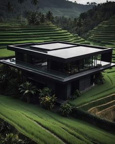 an aerial view of a house in the middle of rice fields