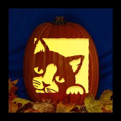 a carved pumpkin with a cat on it