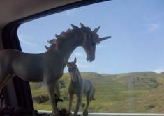 two horses are standing in the back seat of a car and one horse is looking out the window