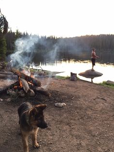 a dog standing in front of a campfire next to a person and a lake