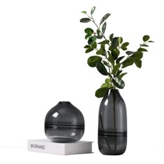 two vases with plants in them sitting next to each other on a white surface