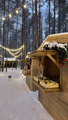 a wooden cabin with christmas decorations on the roof and lights hanging from the trees in the background