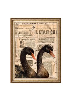 two ducks sitting next to each other in front of a newspaper page with the words l'etait chi on it