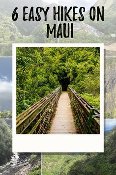 6 Easy Hikes On Maui Iao Valley Maui, Maui Hikes, Hikes In Maui, Cheesecake Wedding, Maui Activities, Haleakala National Park, Road To Hana, Maui Vacation