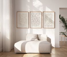 a white couch sitting in front of three framed pictures on the wall next to a potted plant