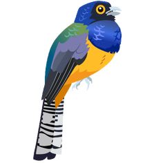 a colorful bird sitting on top of a wooden stick