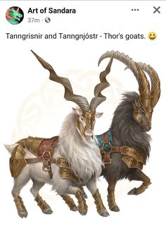 two goats with long horns standing next to each other on top of a white background