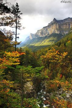 the mountains are covered in autumn foliage and trees with yellow leaves on them, as well as some water